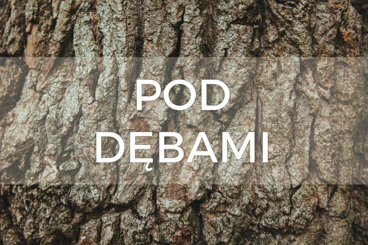 הוילה וידמיני Pod Debami - Pokoje Na Mazurach מראה חיצוני תמונה